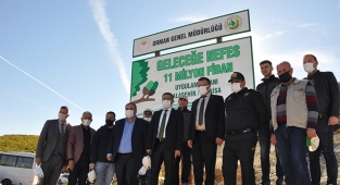 11 Kasım Milli Ağaçlandırma Günü 2021