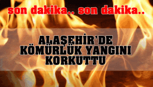 Alaşehir'de Yangın Korkuttu