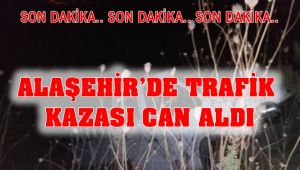 Alaşehir'de Trafik Kazası 1 Can Aldı