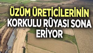 Üzüm Üreticilerinin Korkulu Rüyası