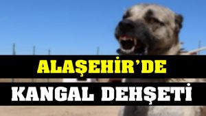Alaşehir'de 2 Kişiye Kangal Köpek Saldırdı!