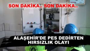 Alaşehir'de Hırsızlar Pes Dedirtti