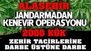 Alaşehir Jandarma Zehir Tacirlerine Göz Açtırmıyor