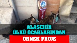 Alaşehir Ülkü Ocakları Sokak Hayvanlarına Sahip Çıkıyor