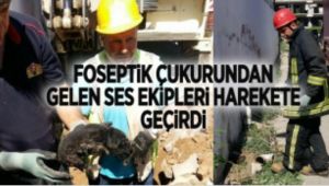 Alaşehir'de Foseptik Çukurundan Gelen Ses Ekipleri Harekete Geçirdi