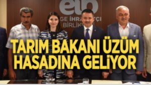 Tarım Bakanı Pakdemirli Üzüm Hasadı İçin Manisa'ya Geliyor