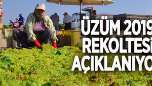 Üzüm 2019 Rekoltesi Yarın Açıklanıyor