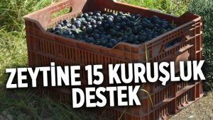 15 Kuruşluk Zeytine Destek