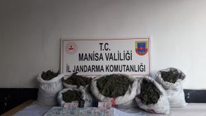 Jandarma Zehir Tacirlerine Göz Açtırmadı