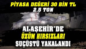 Alaşehir'de Kuru Üzüm Hırsızlarını Jandarma Kıskıvrak Yakaladı