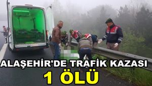 Alaşehir'de Direksiyon Hakimiyetini Kaybeden Sürücü Hayatını Kaybetti