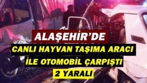 Alaşehir'de Canlı Hayvan Taşıma Aracı İle Otomobil Çarpıştı : 2 Yaralı