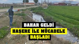Bahar Geldi Haşere İle Mücadele Başladı