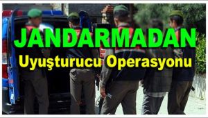 Alaşehir Jandarma Zehir Tacirlerine Göz Açtırmadı