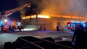 Alaşehir'de Ahşap Fabrikasında Korkutan Yangın