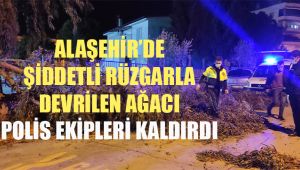 Alaşehir'de şiddetli rüzgarla devrilen ağacı polis ekipleri kaldırdı