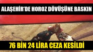 Alaşehir'de horoz dövüşüne 76 bin 24 lira ceza