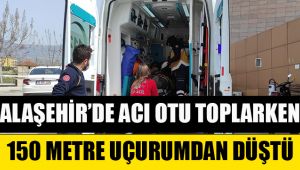 Alaşehir'de acı otu toplarken 150 metre uçurumdan yuvarlandı 1 kişi yaralandı