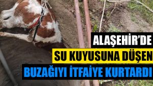 Alaşehir'de su kuyusuna düşen buzağıyı itfaiye ekipleri kurtardı