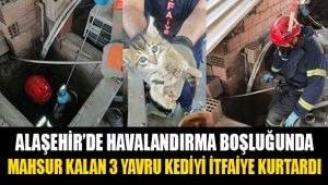 Alaşehir'de havalandırma boşluğunda mahsur kalan 3 yavru kediyi itfaiye kurtardı