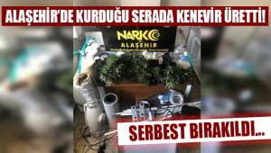 Alaşehir'de kurduğu serada kenevir üretti, serbest bırakıldı