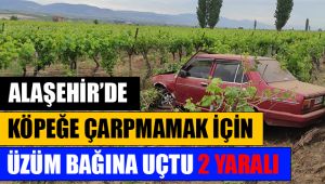 Alaşehir'de yola çıkan köpeğe çarpmamak için manevra yapan otomobil üzüm bağına devrildi