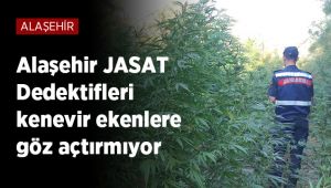 Alaşehir'de 8 kilogram esrar ve 1327 kök keneviri ele geçirildi