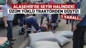 Alaşehir'de seyir halindeki üzüm yüklü traktörden düştü : 1 Yaralı