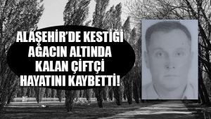 Alaşehir'de kestiği ağacın altında kalan çiftçi hayatını kaybetti