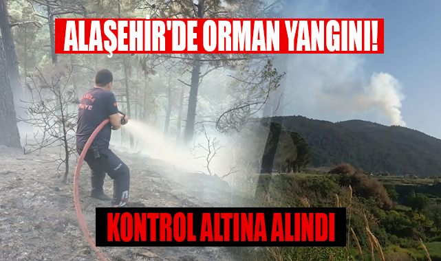 Alaşehir'de orman yangını 3 dönüm alan zarar gördü