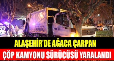 Alaşehir'de ağaca çarpan çöp kamyonu sürücüsü yaralandı