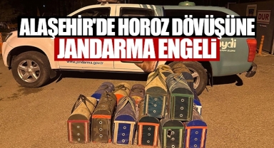 Alaşehir'de horoz dövüşüne jandarma baskını
