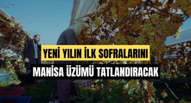 Manisa üzümü yılbaşındada sofralarda