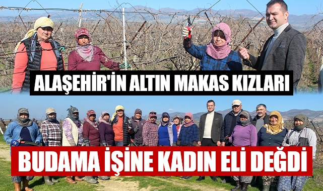 Alaşehir'de bağ budamaya kadın eli değdi