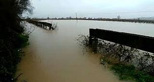 Gediz Nehri Taştı! Ovalar Sular Altında