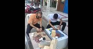 Alaşehir Ülkü Ocakları Sokak Hayvanlarına Sahip Çıktı